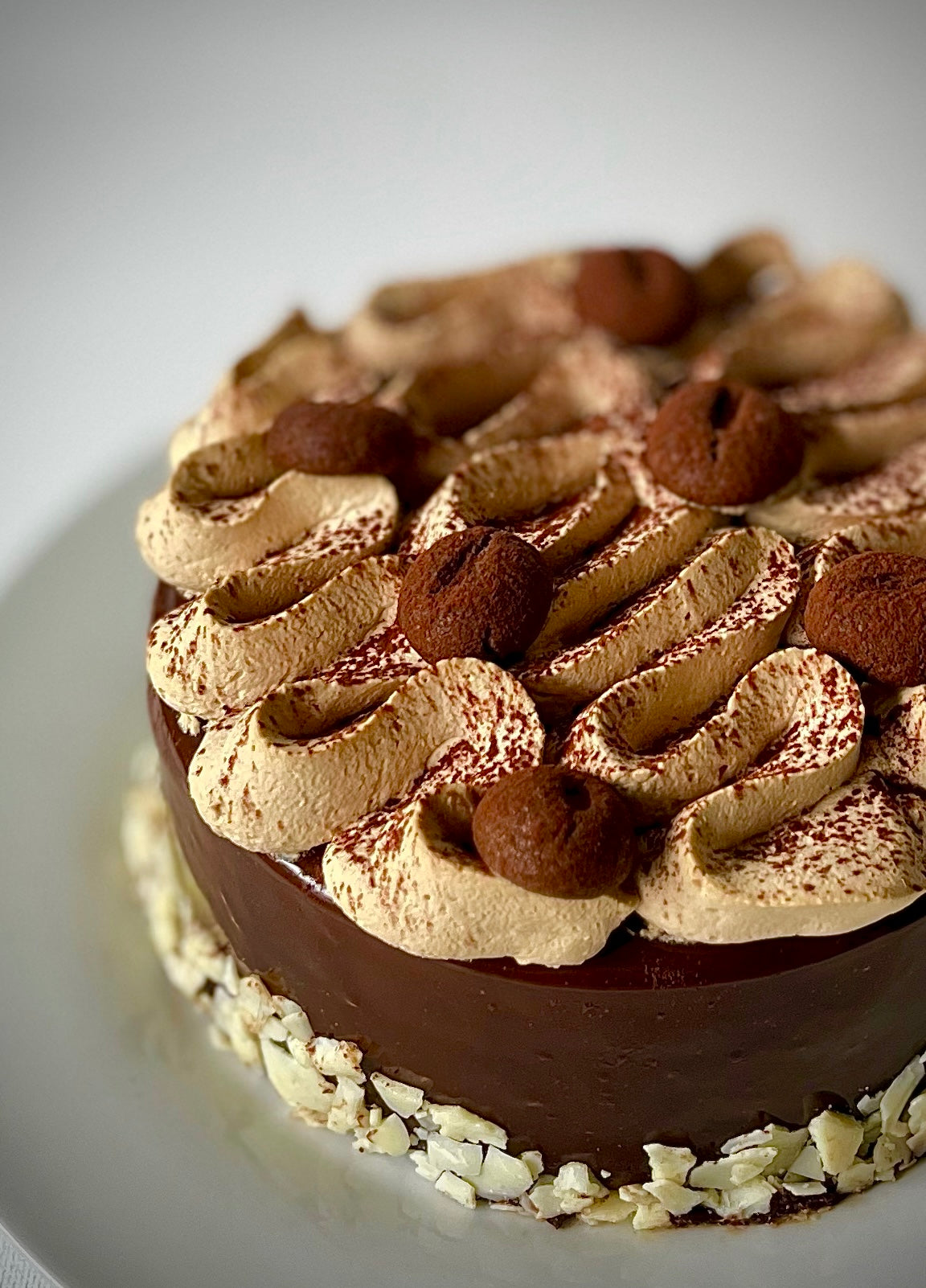 Noir Espresso Entremet